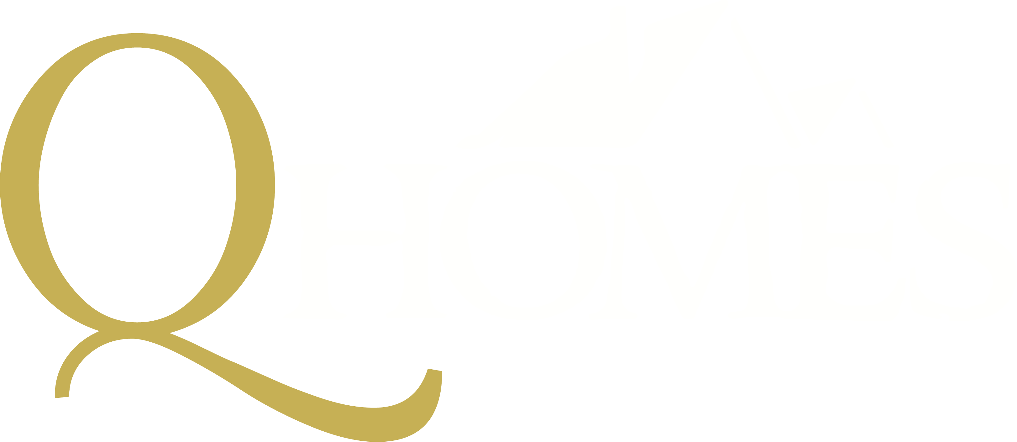 Site logo dark